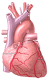 Life insurance rates with coronary artery disease CAD